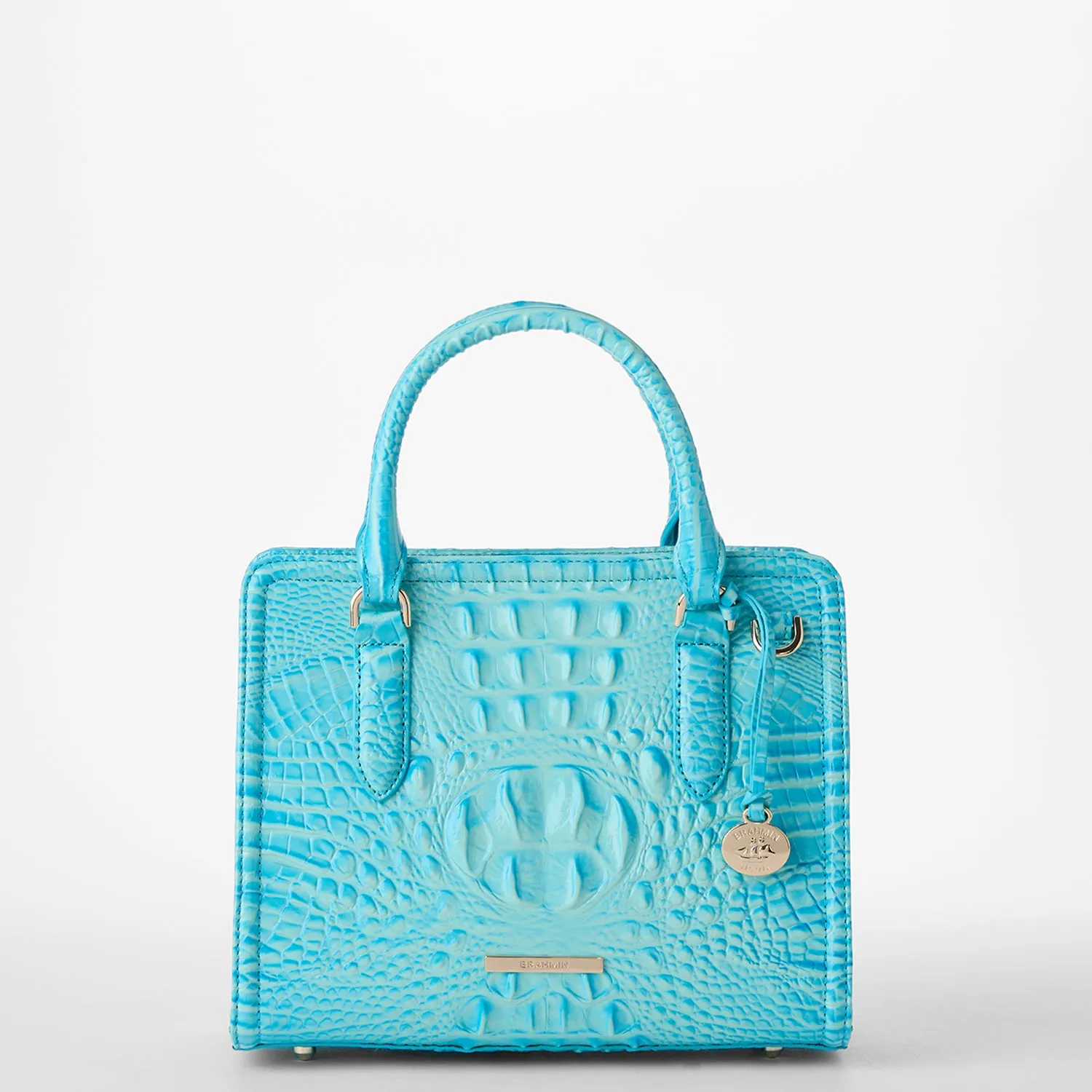 Cami Bags Brahmin Satchels