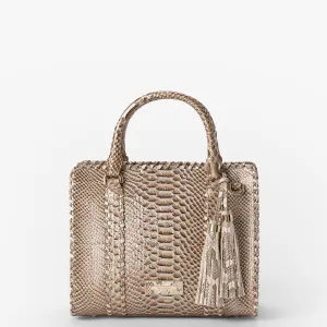 Cami Bags Brahmin Satchels