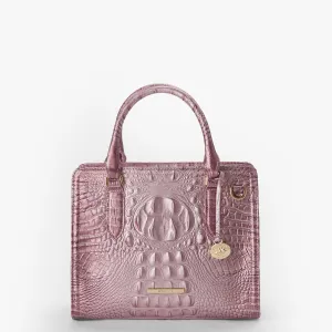Cami Bags Brahmin Satchels