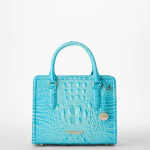 Cami Bags Brahmin Satchels