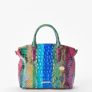 Duxbury Satchel Bags Brahmin Satchels