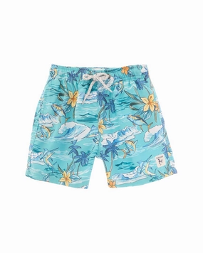 Endless Summer Volley Swim Short boys swimwear sets, boys swim trunks