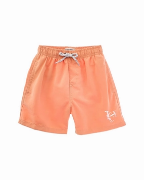 Endless Summer Volley Swim Short boys swimwear sets, boys swim trunks
