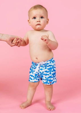 Flowerworks | Baby Euro Shorts boys summer swimwear, boys rash guard swim sets
