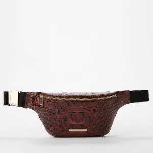 Hollis Bags Brahmin Travel Bags