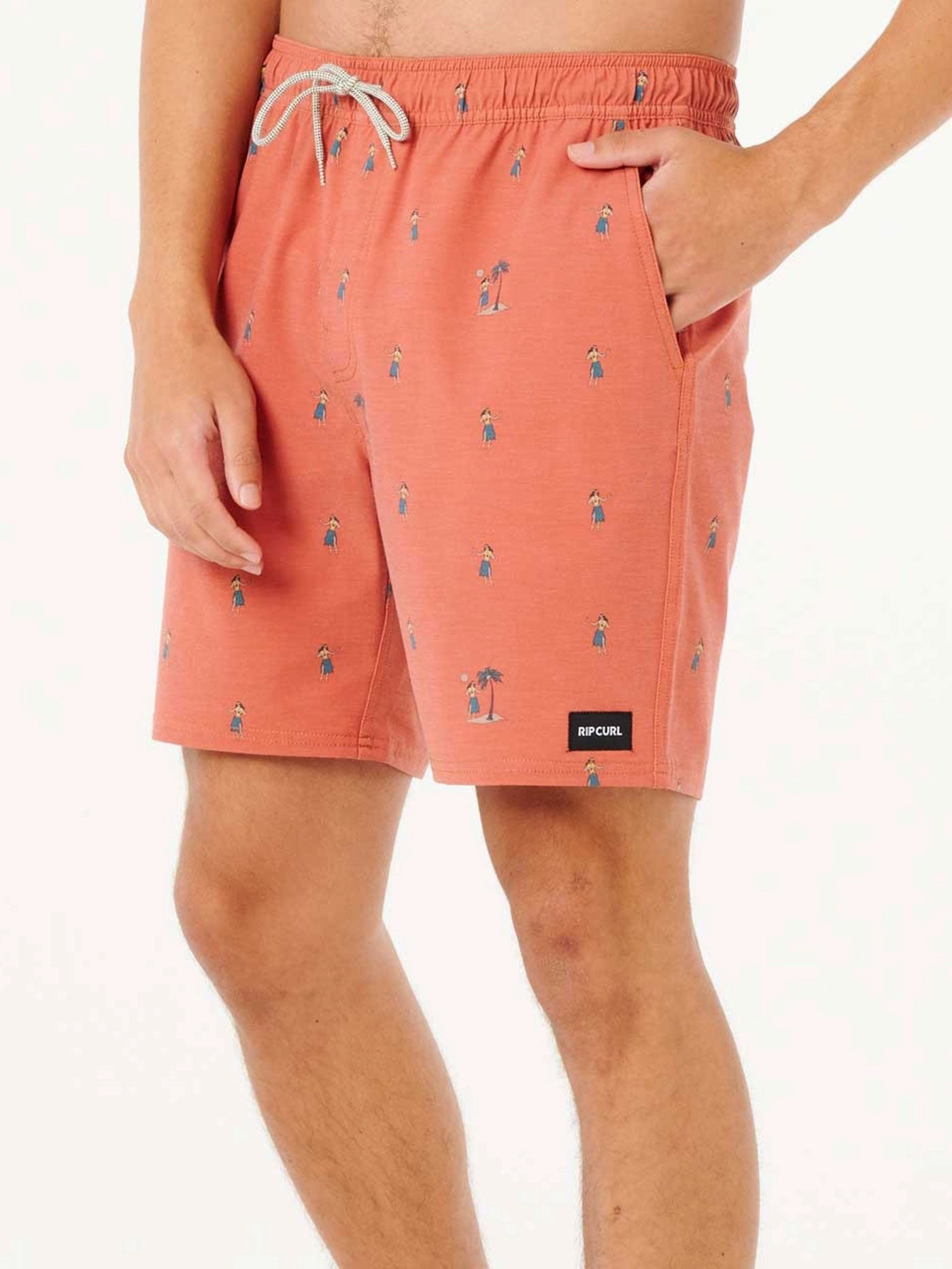 Hula Breach Volley Boardshorts
