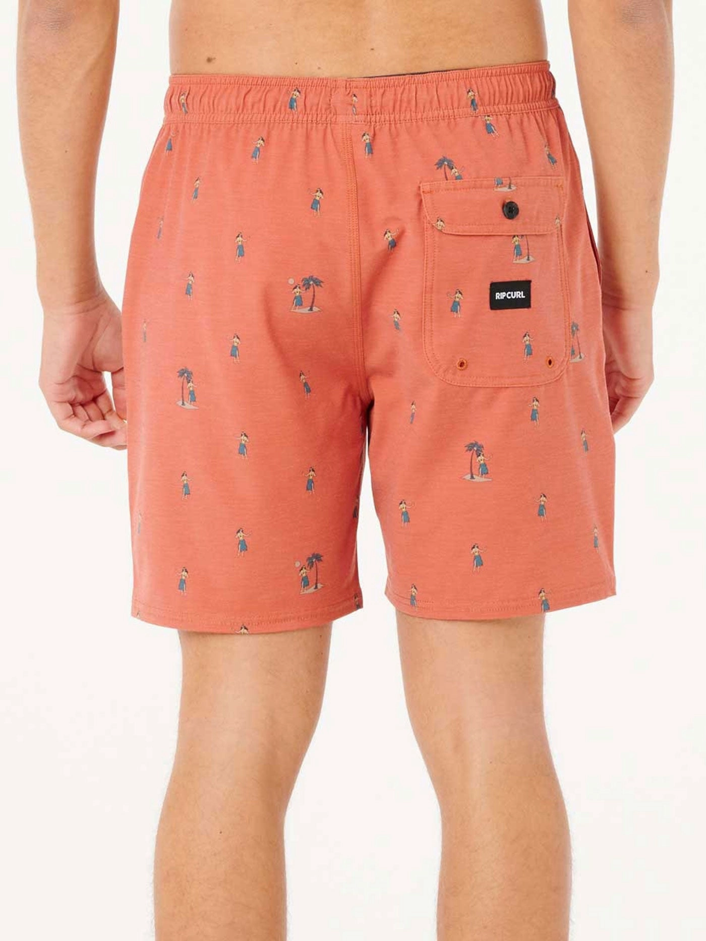 Hula Breach Volley Boardshorts