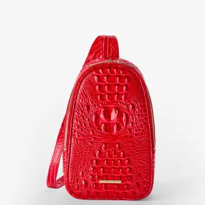 Jordan Bags Brahmin Travel Bags