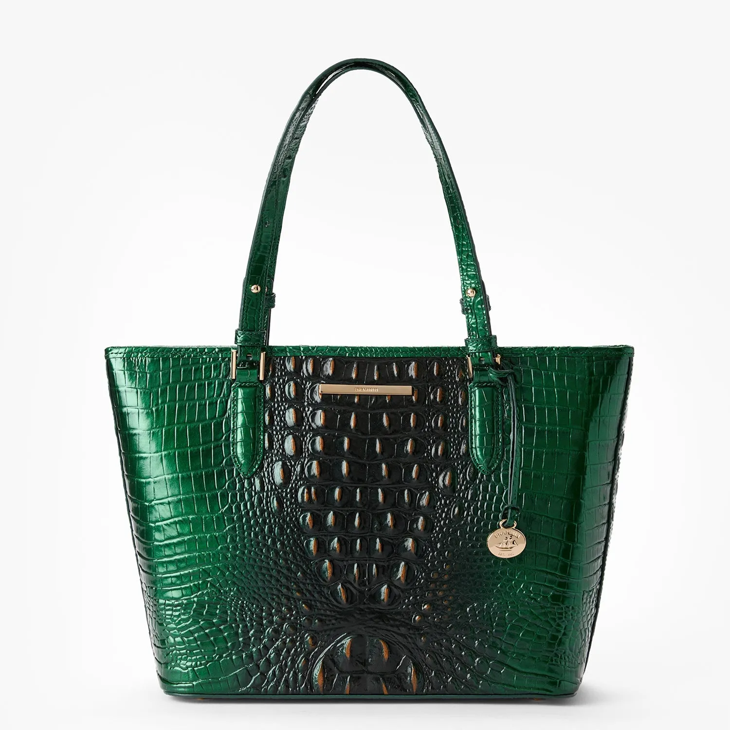 Medium Asher Bags Brahmin Travel Bags