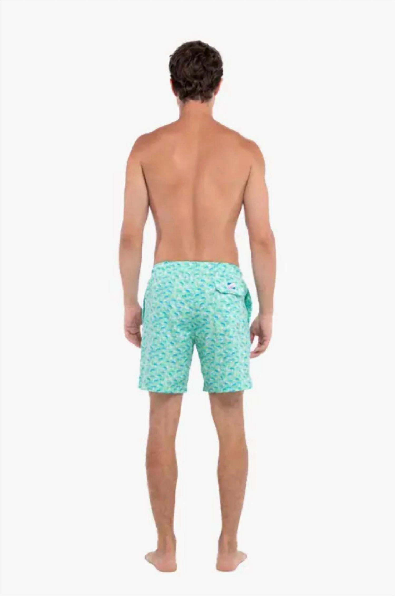 Men's Board Shorts In Green Marlin