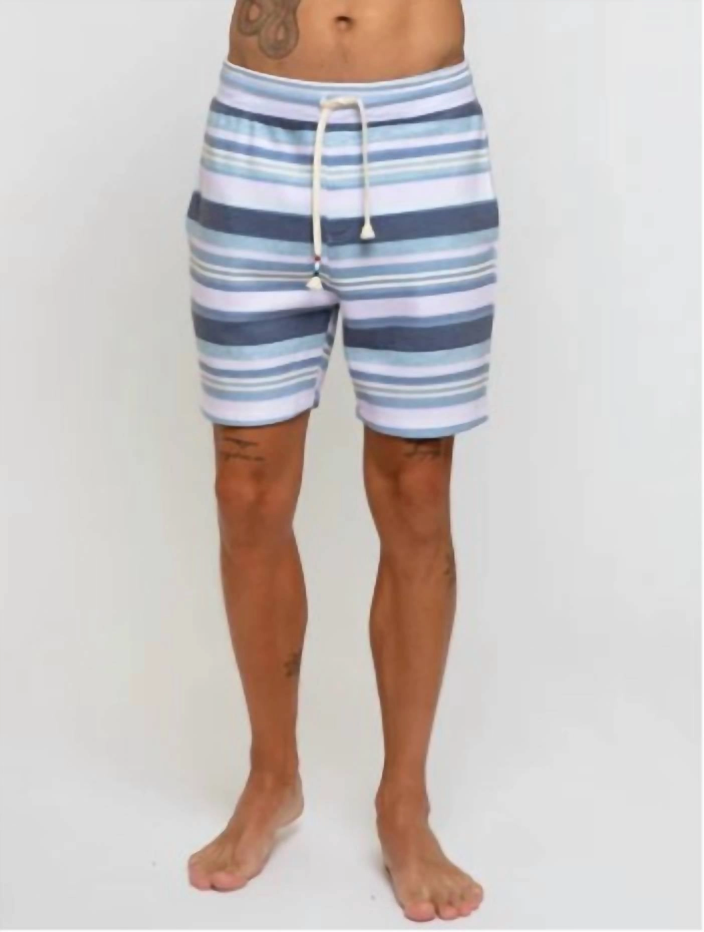 Men's Stripe Short In Bay Stripe mens beach swimwear, quick dry mens swimsuits