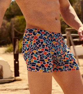 Swim Trunks