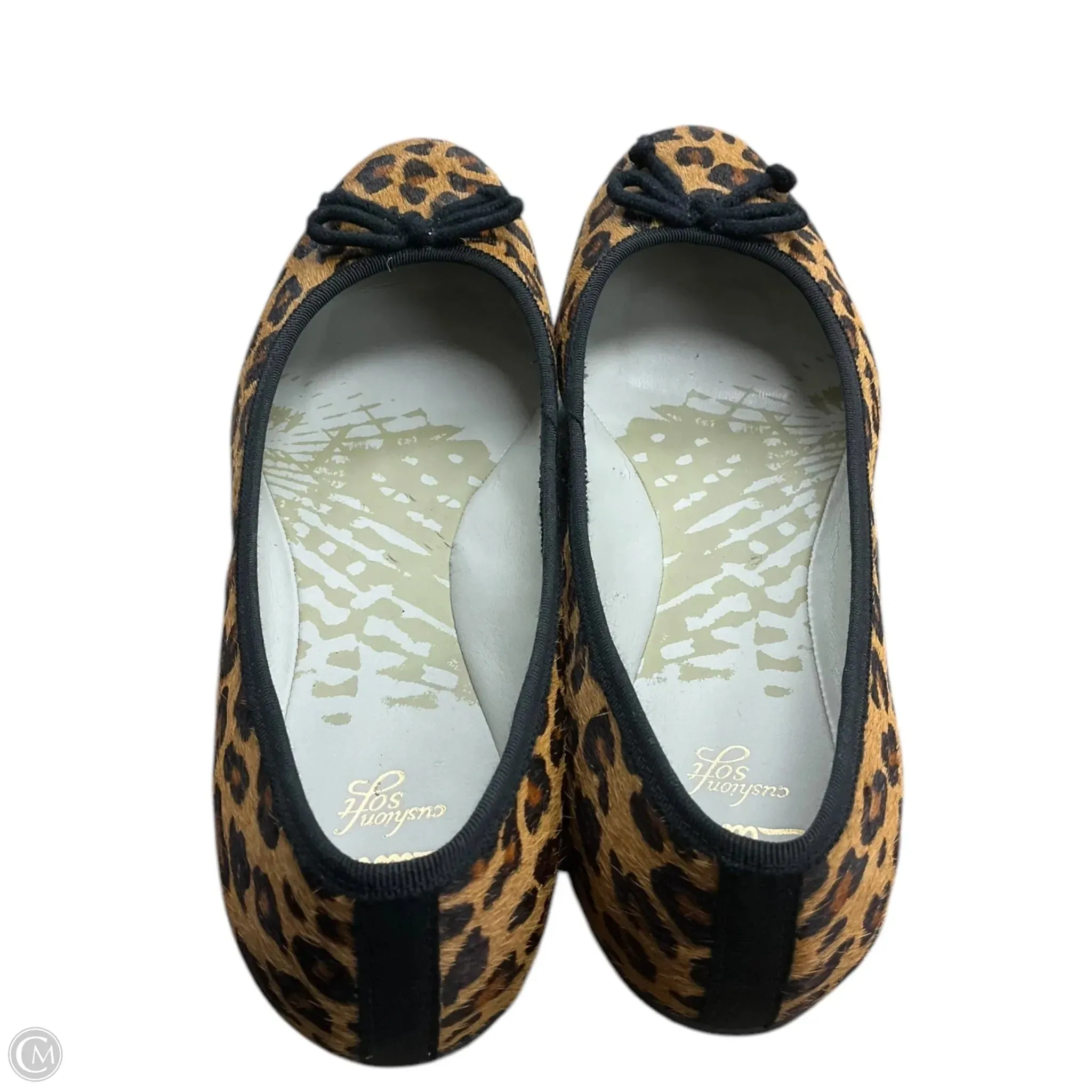 Shoes Flats By Clarks In Animal Print, Size: 6 clarks