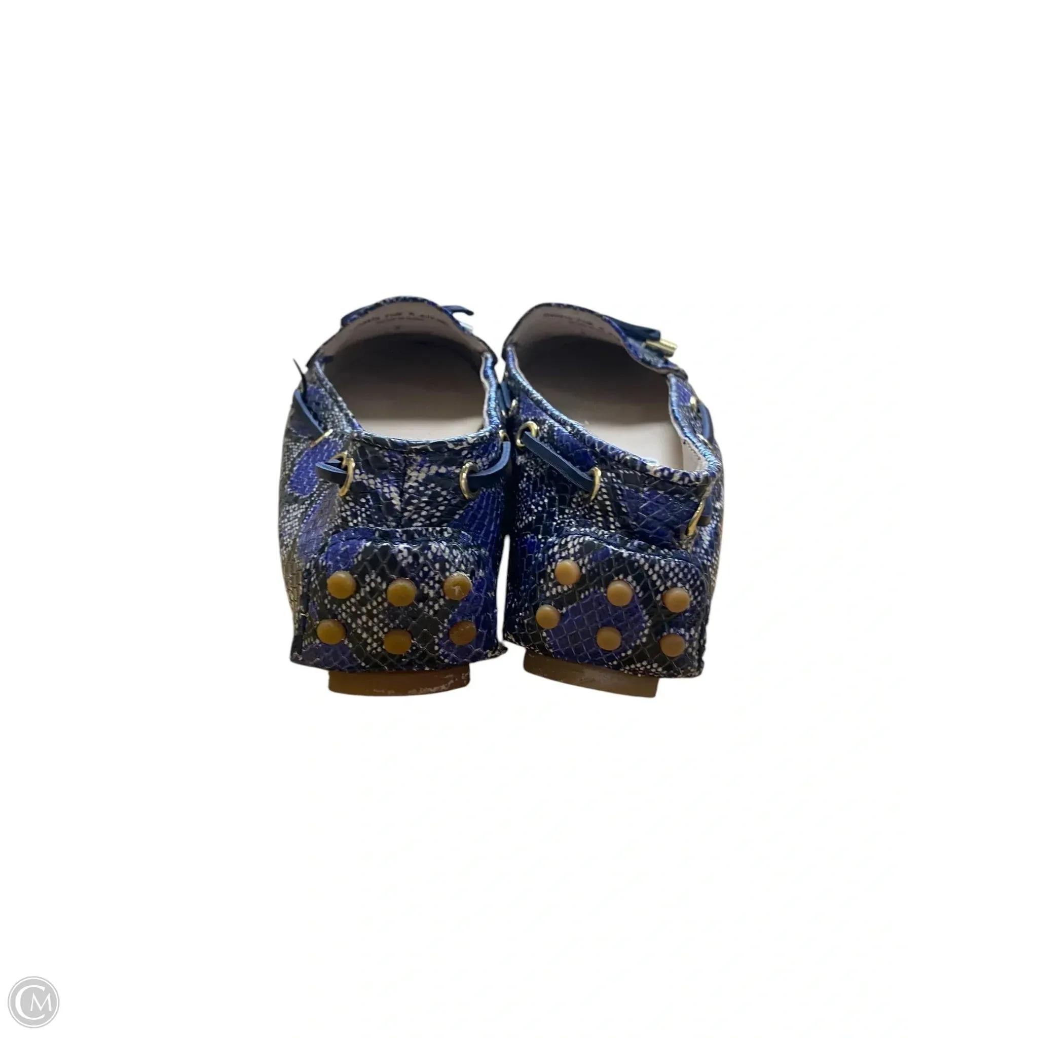Shoes Flats By Cole-haan In Snakeskin Print, Size: 7.5 cole haan