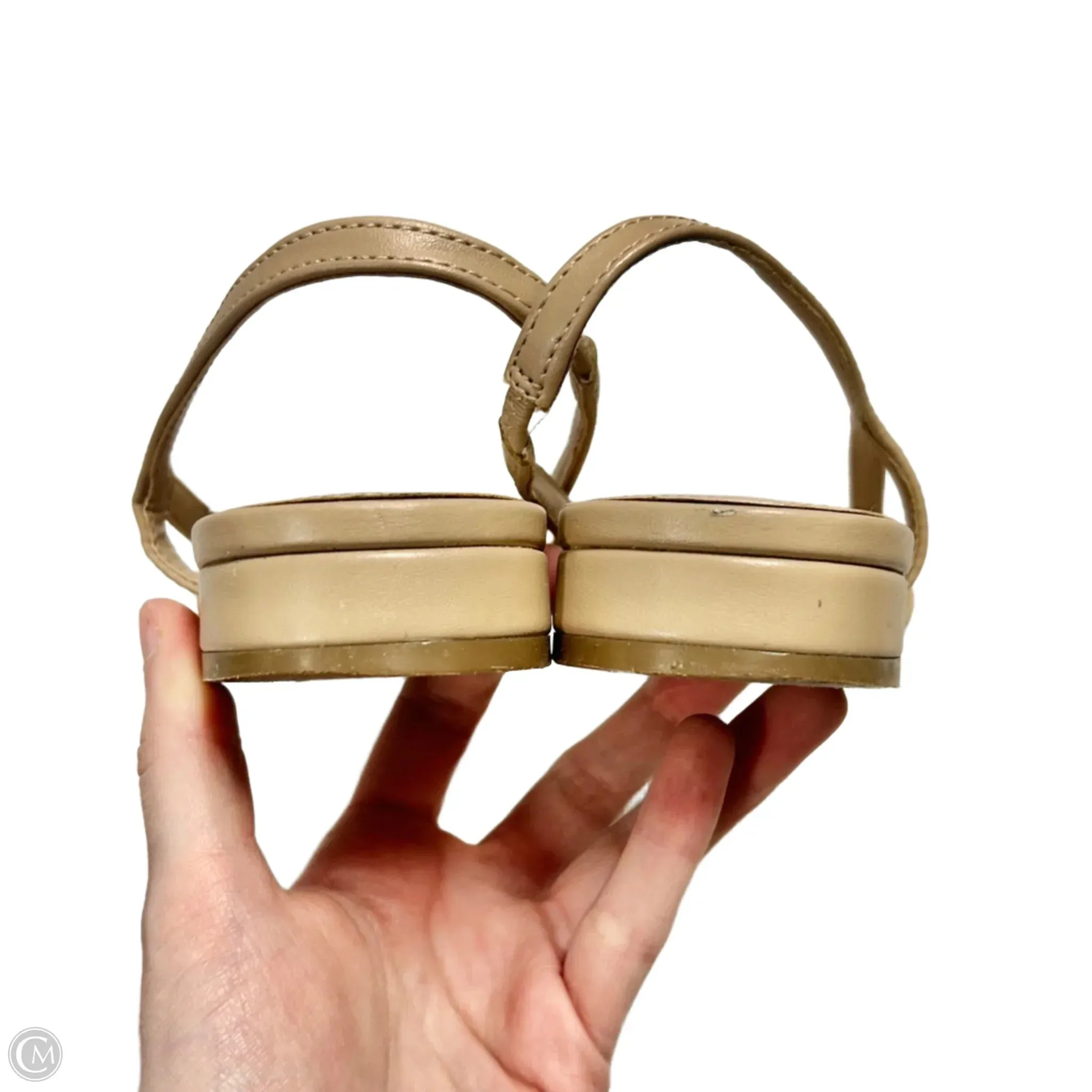 Shoes Flats By Marc Fisher In Black & Tan, Size: 9 marc-fisher