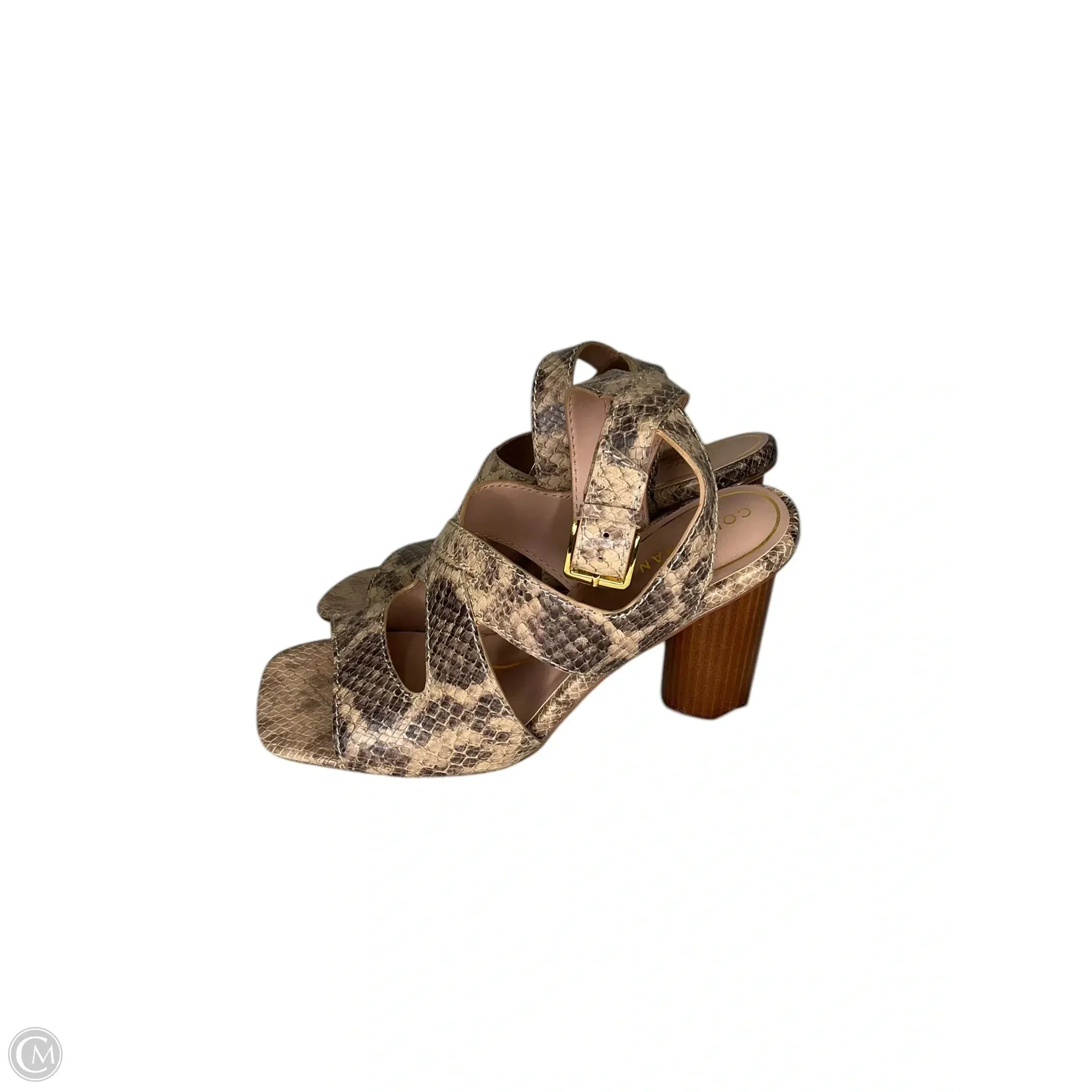 Shoes Heels Block By Cole-haan In Animal Print, Size: 9.5 cole haan