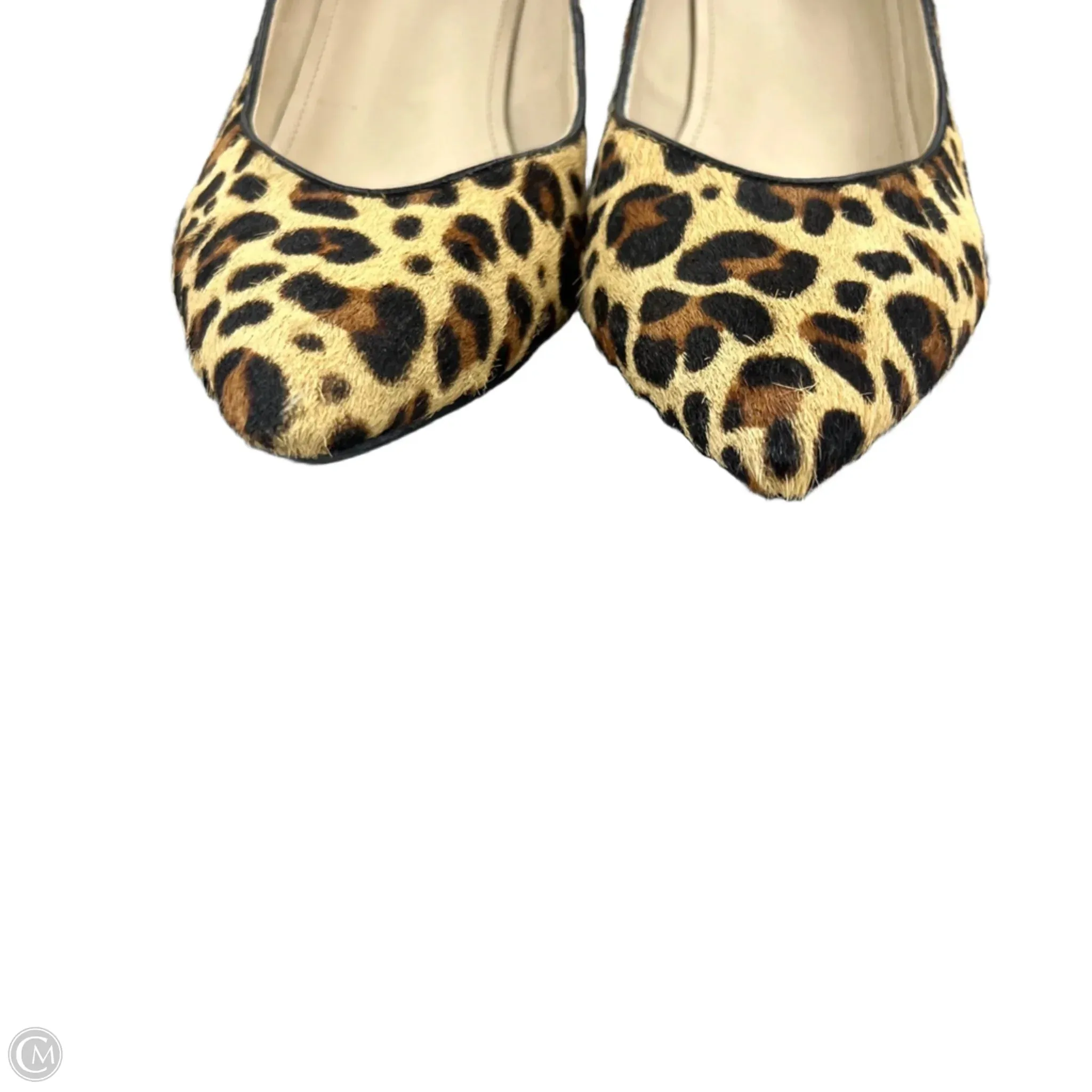 Shoes Heels Block By Marc Fisher In Leopard Print, Size: 9.5 marc-fisher