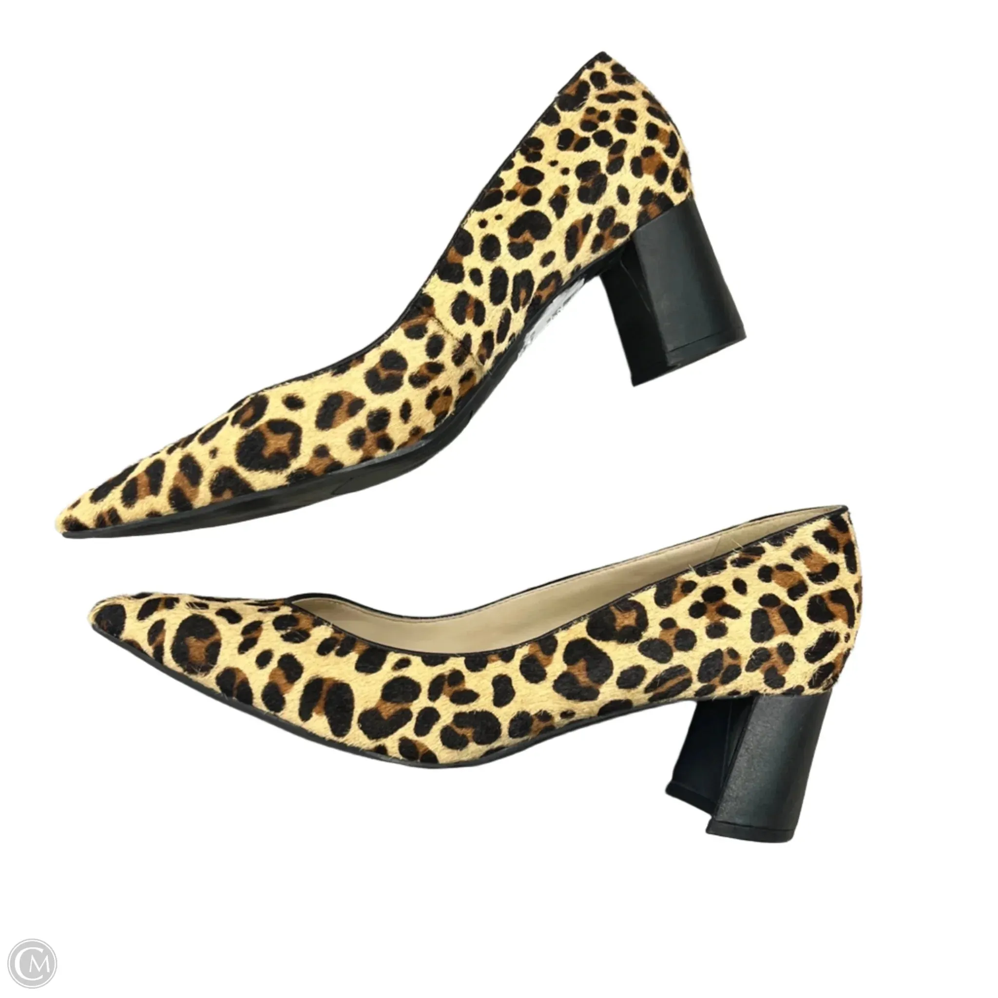 Shoes Heels Block By Marc Fisher In Leopard Print, Size: 9.5 marc-fisher