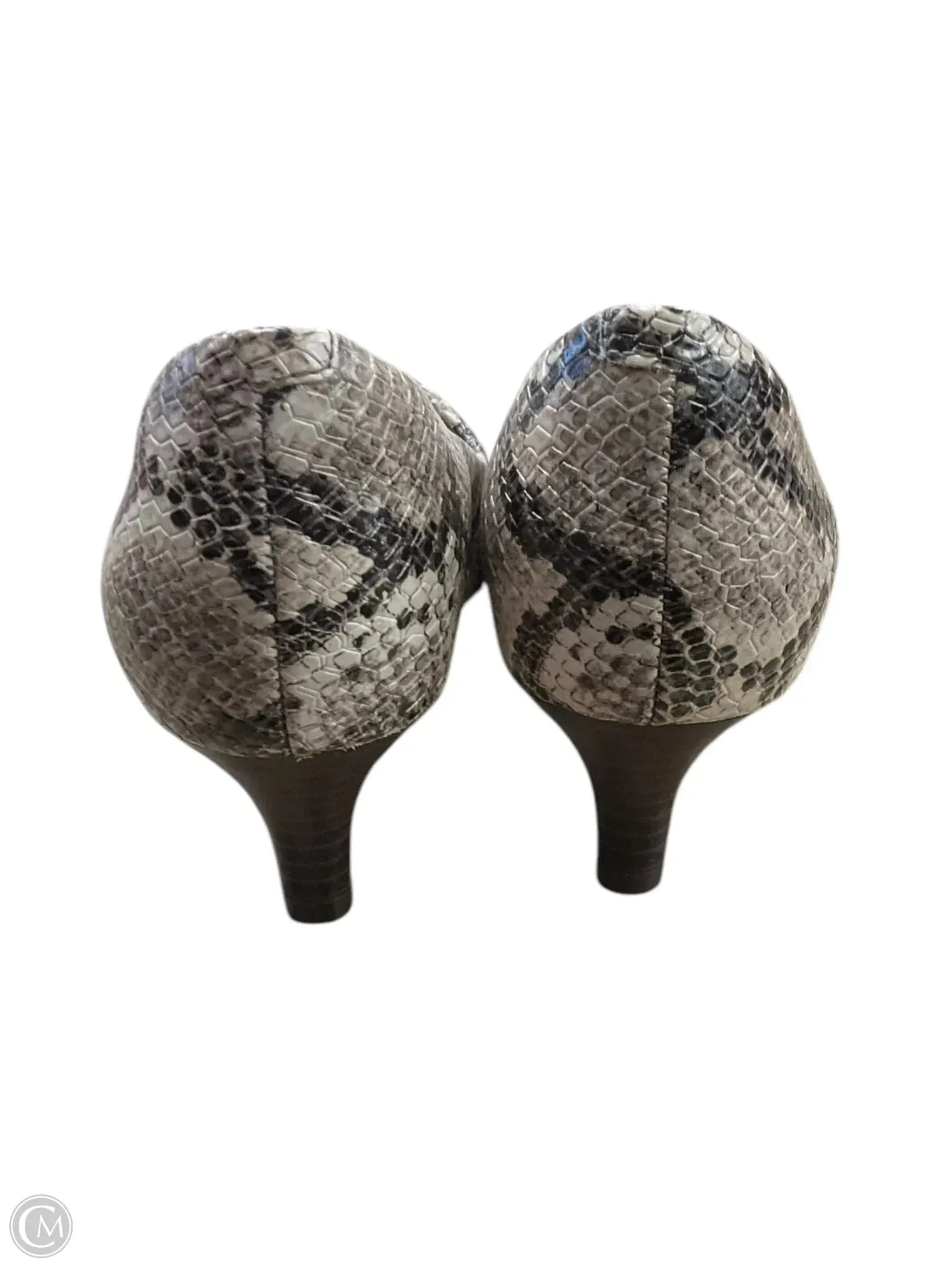 Shoes Heels Kitten By Clarks In Snakeskin Print, Size: 6.5 clarks