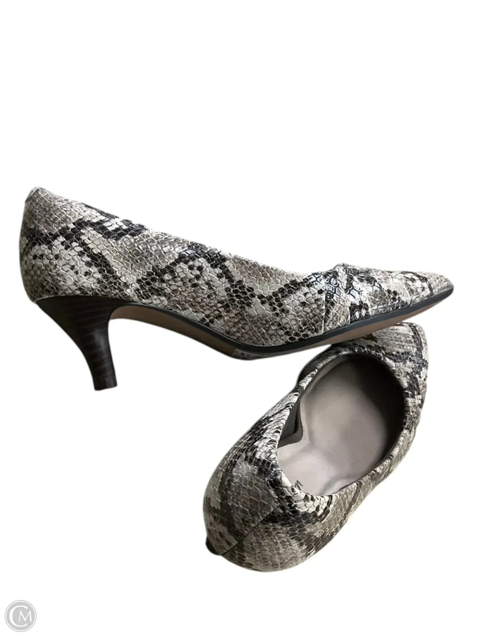 Shoes Heels Kitten By Clarks In Snakeskin Print, Size: 6.5 clarks