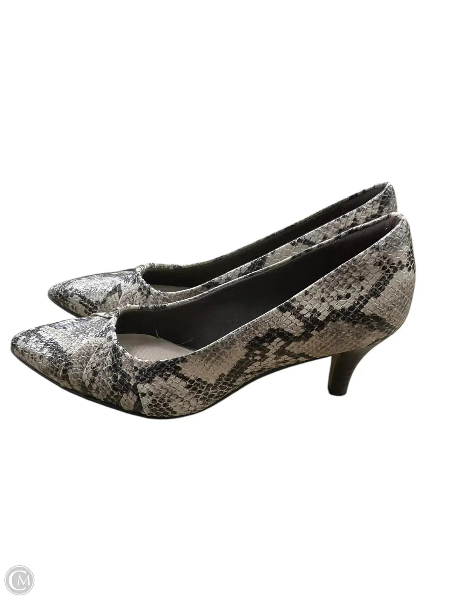 Shoes Heels Kitten By Clarks In Snakeskin Print, Size: 6.5 clarks