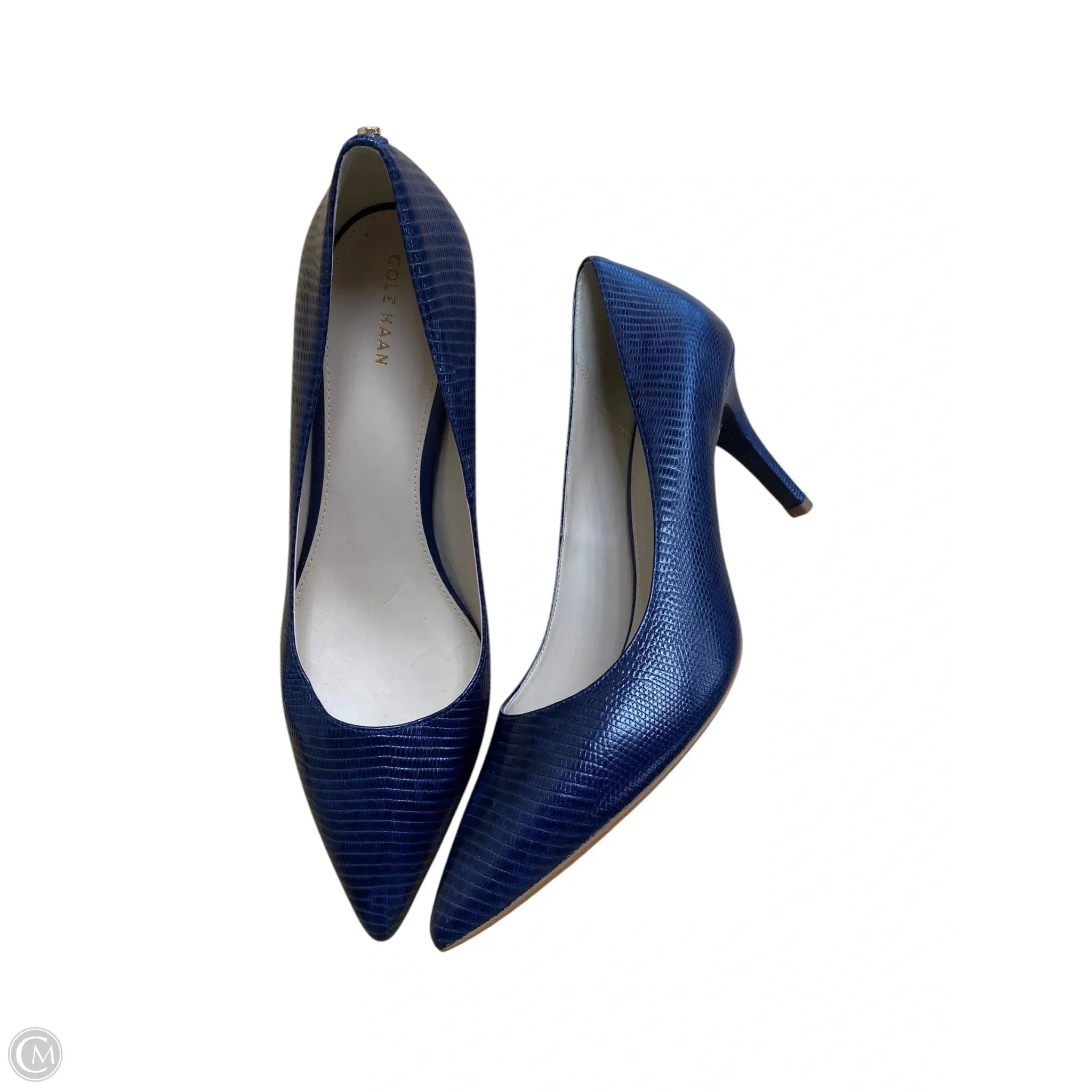 Shoes Heels Stiletto By Cole-haan In Blue, Size: 11 cole haan