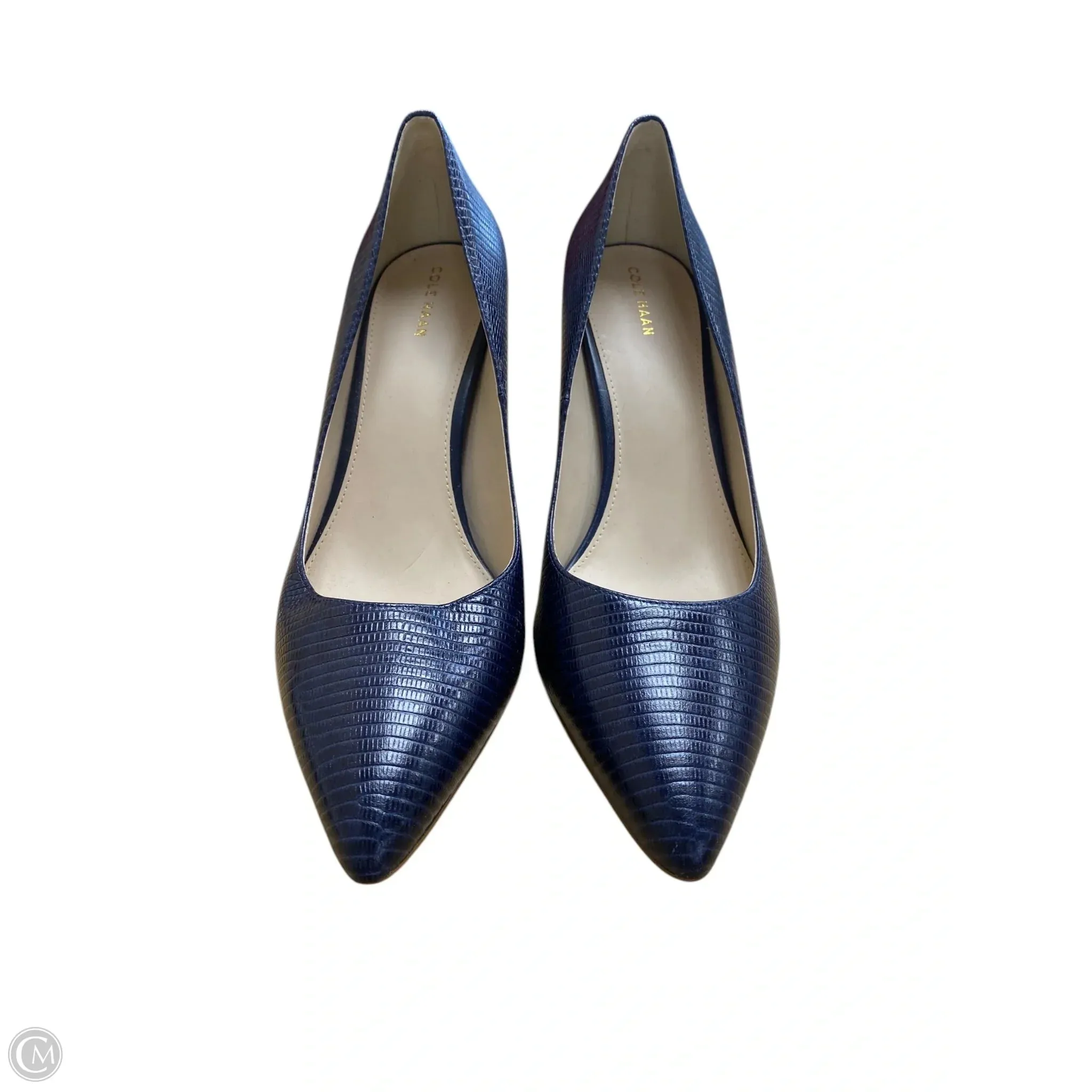 Shoes Heels Stiletto By Cole-haan In Blue, Size: 11 cole haan