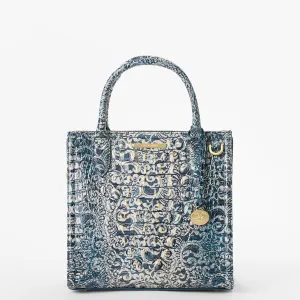 Small Caroline Bags Brahmin Satchels