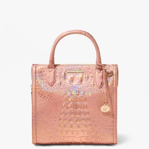 Small Caroline Bags Brahmin Satchels