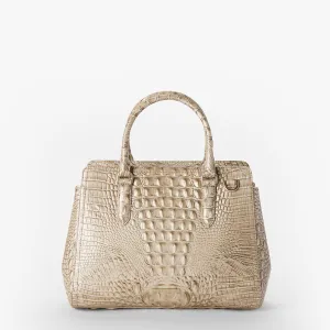 Small Finley Bags Brahmin Totes Carryalls