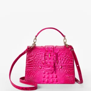 Small Hallie Bags Brahmin Satchels