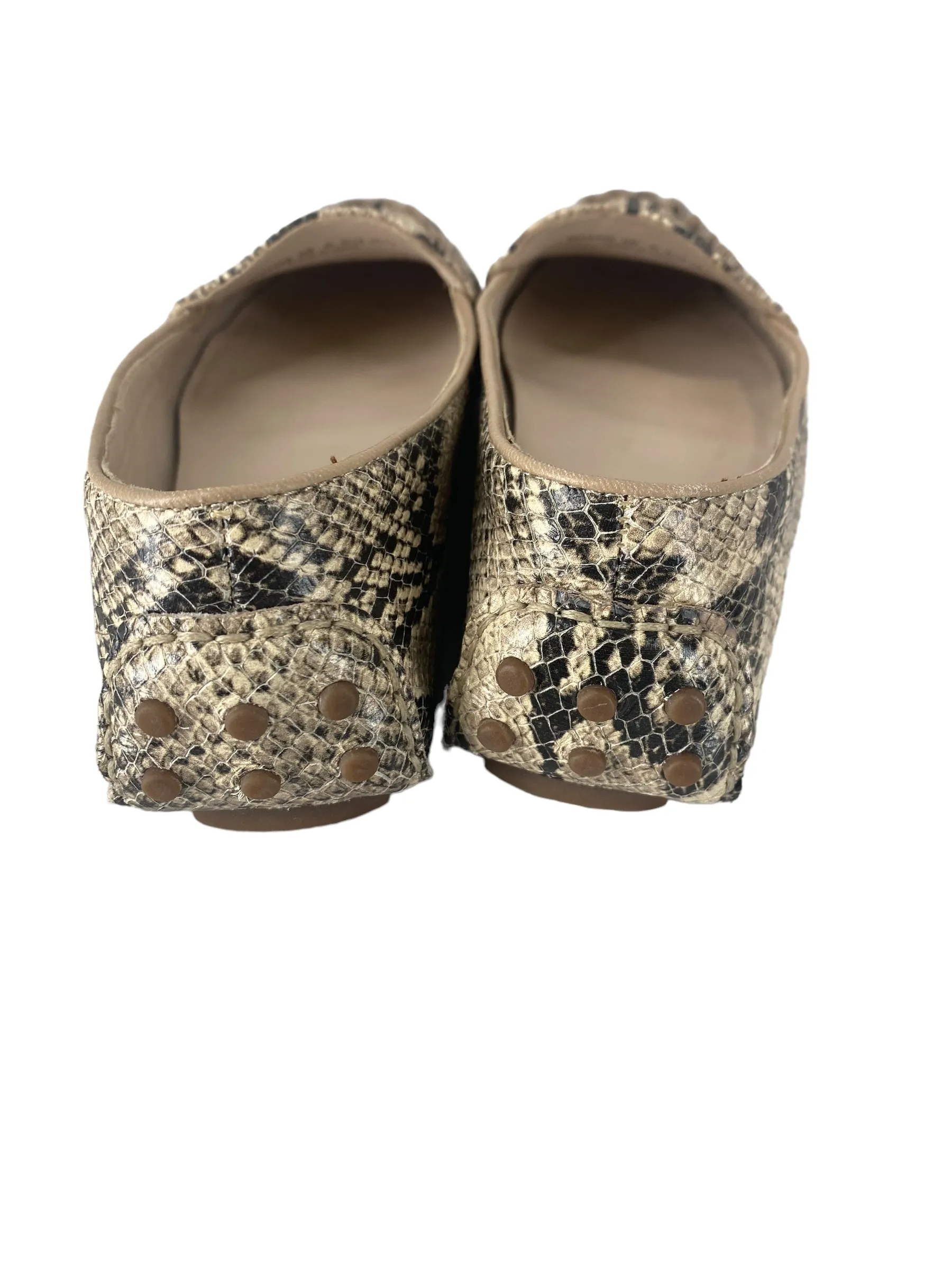 Snakeskin Print Shoes Flats Cole-haan, Size 6 cole haan