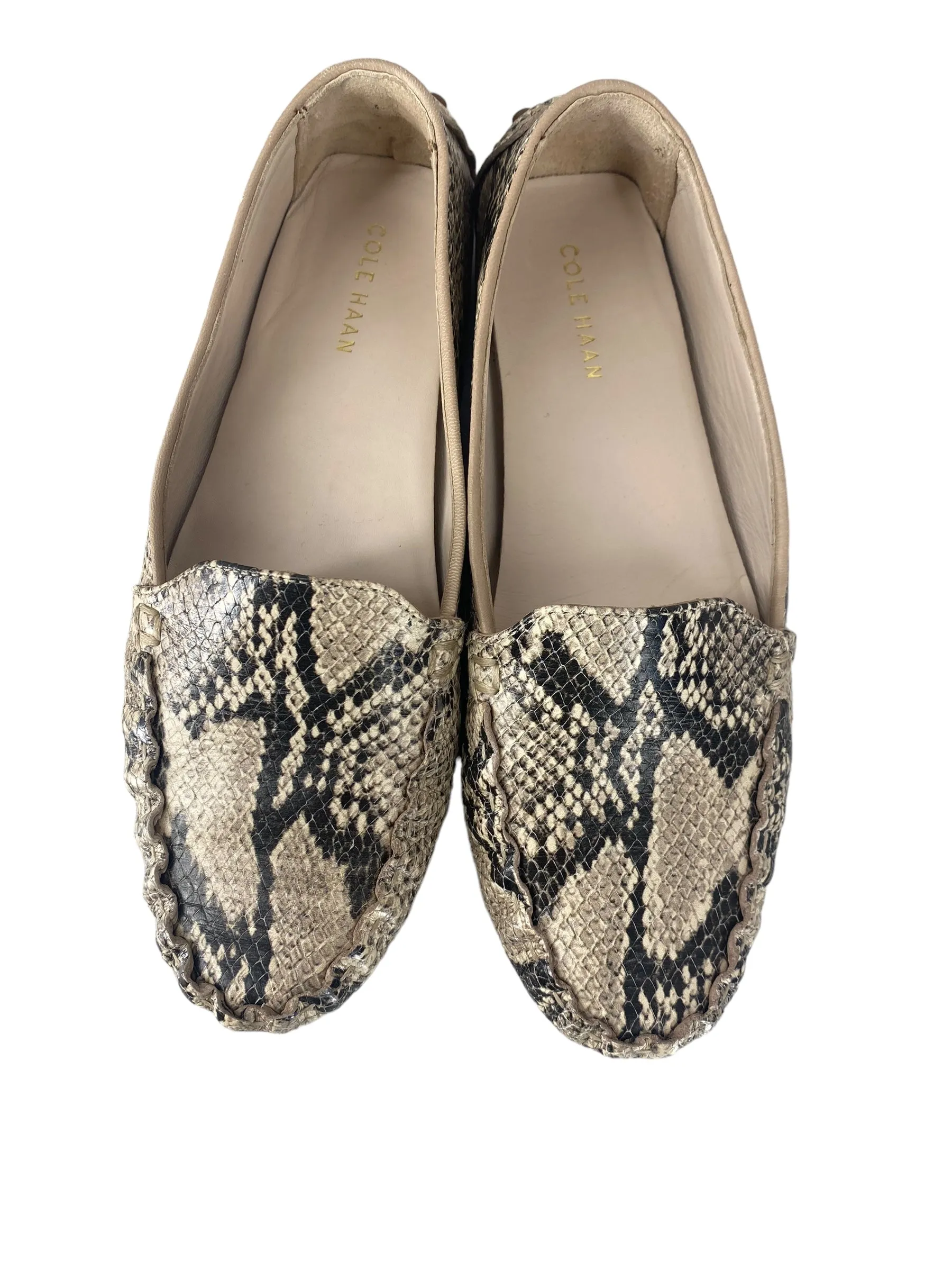 Snakeskin Print Shoes Flats Cole-haan, Size 6 cole haan