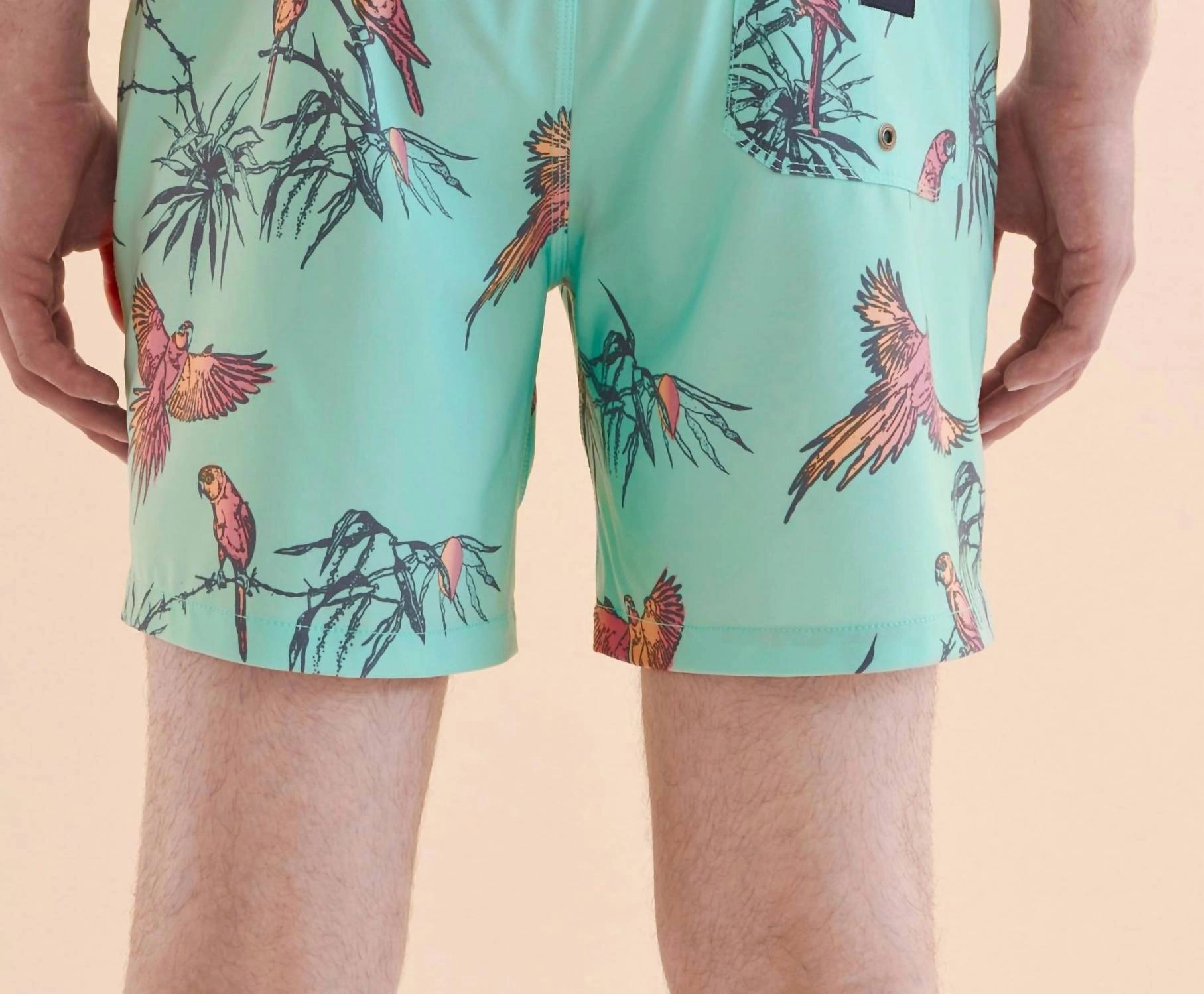 Sundays Boardshort In Mist