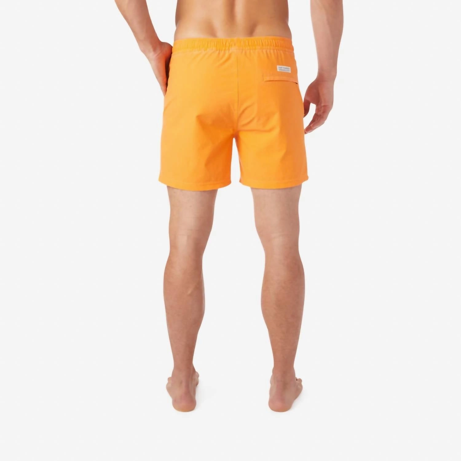 The Bungalow Trunk In Sun  Orange