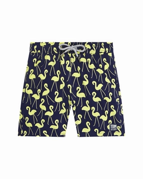 Tom & Teddy Swim Trunk boys swimwear sets, boys swim trunks