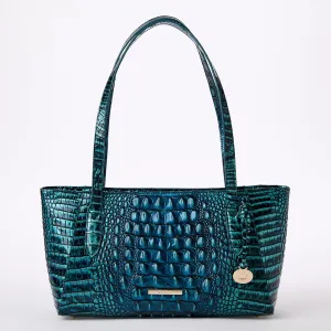 Tonya Bags Brahmin Totes Carryalls