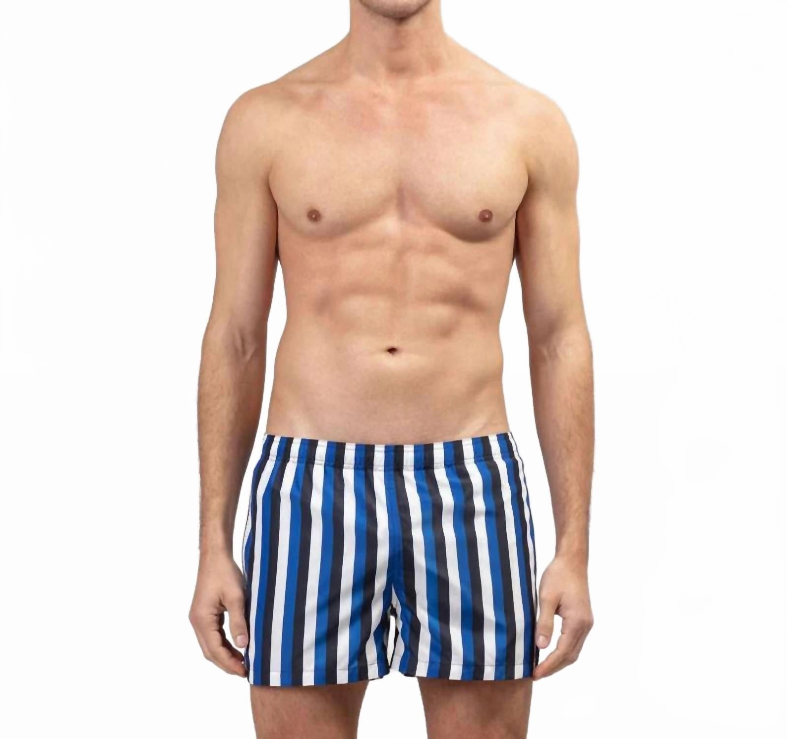 Tricolor Stripe Swim Shorts In Greek Blue / Navy / White mens full coverage swimwear, stylish mens swim trunks