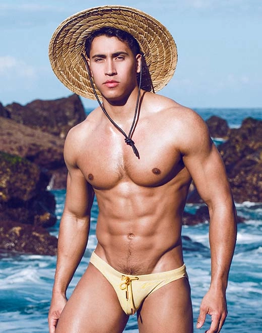 V20 Signature Print Swimwear - Linn