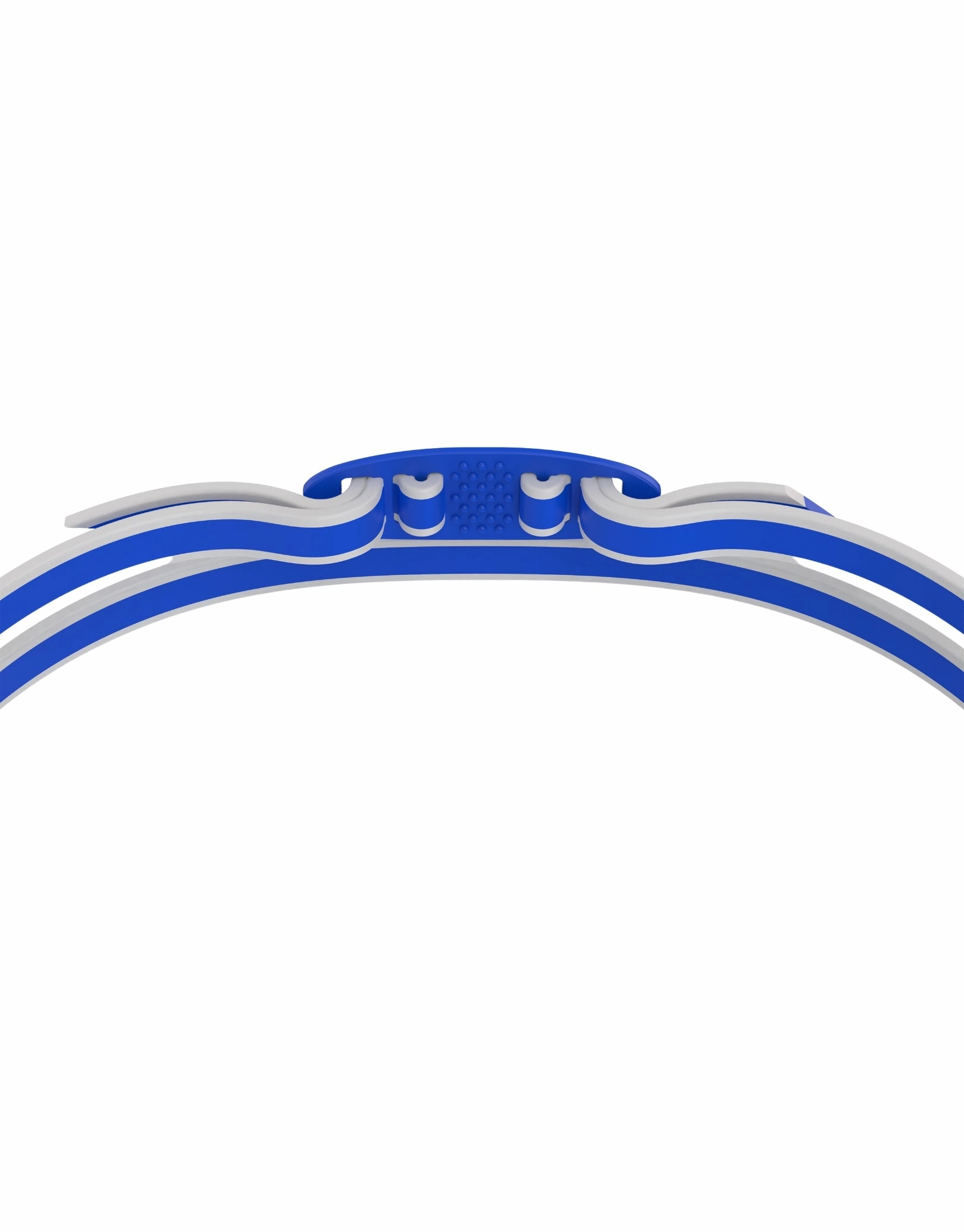 Vanquisher 3.0 Swim Goggle