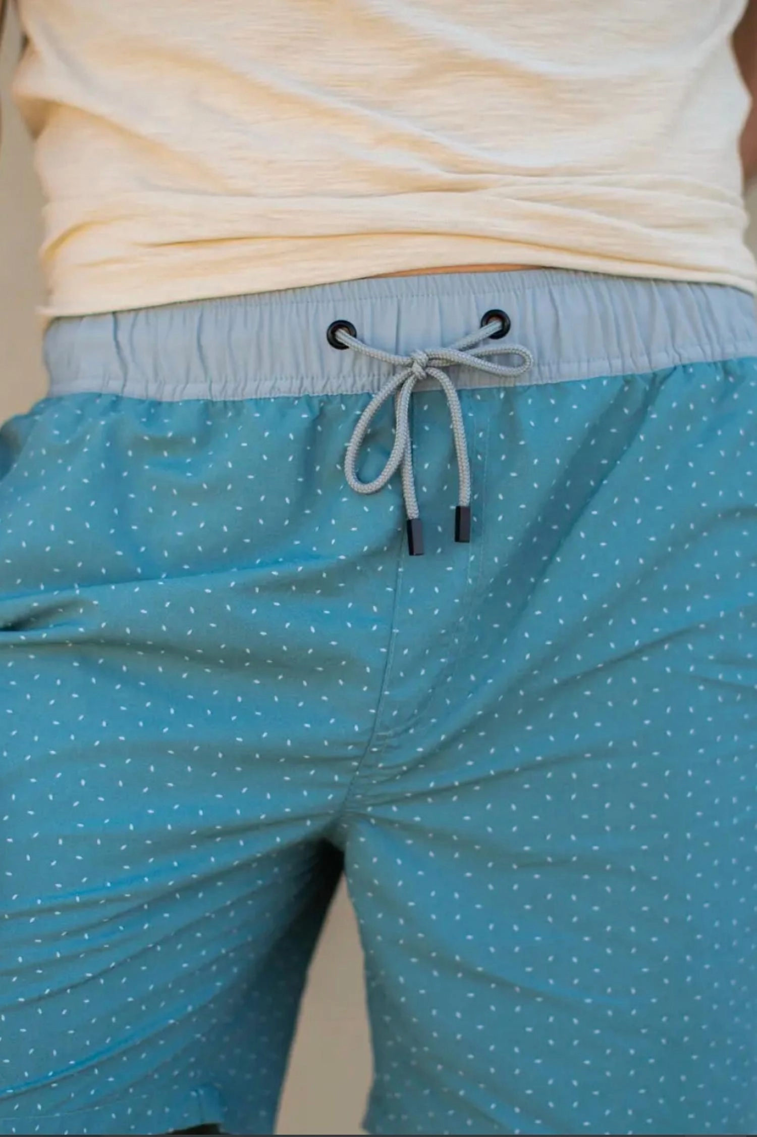 Winston Printed Swim Trunks In Blue